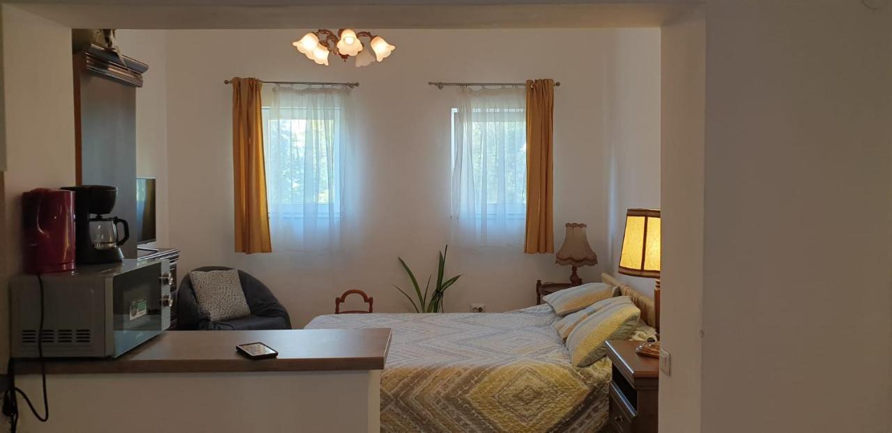 Cozy Home In The Heart Of Kolozsvár Kültér fotó