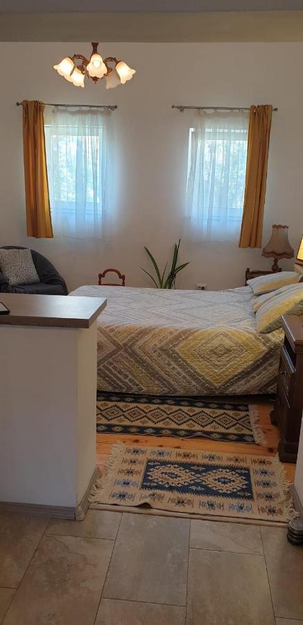 Cozy Home In The Heart Of Kolozsvár Kültér fotó