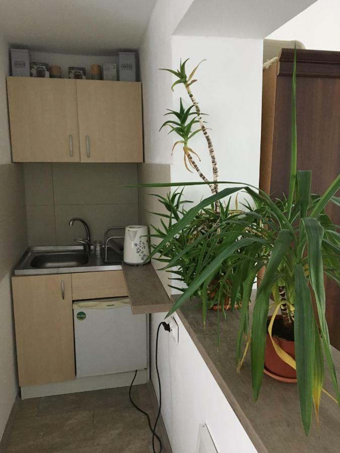 Cozy Home In The Heart Of Kolozsvár Kültér fotó