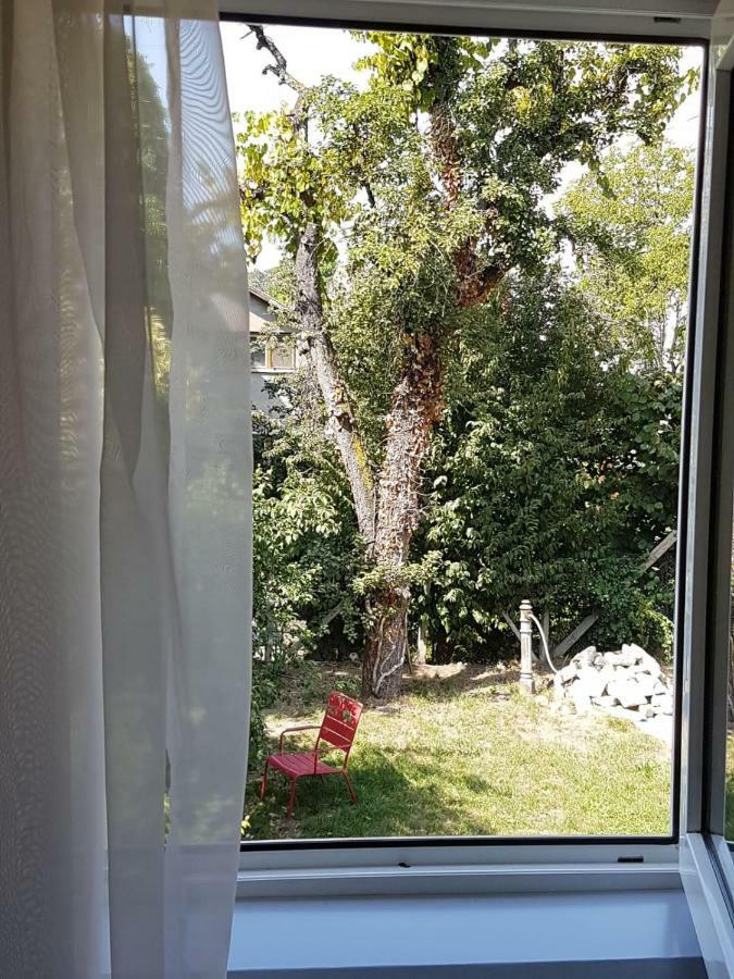 Cozy Home In The Heart Of Kolozsvár Kültér fotó